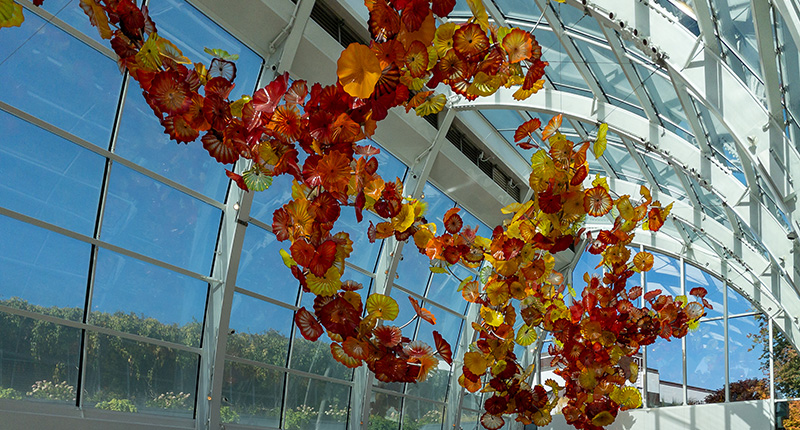 Landscape view of the Glasshouse of Chihuly Garden and Glass