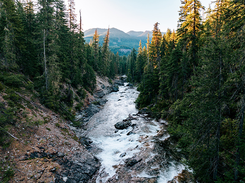Beautiful Mountain Forest and River Scenics